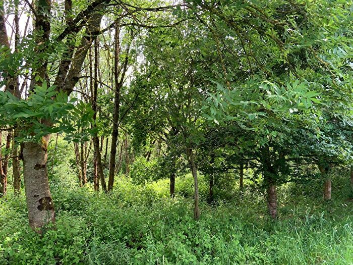 Land For Sale In Sandford, Crediton, EX17