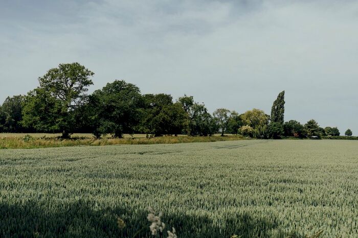 4 Bedroom Detached House For Sale In Ashbourne Road, Sudbury, Ashbourne, DE6