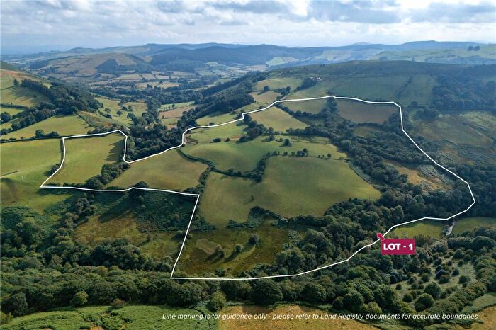 Property For Sale In Lot - Tyn-Y-Pant, Llananno, Llandrindod Wells, Powys, LD1