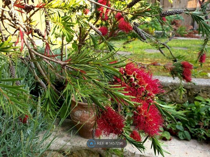 3 Bedroom Terraced House To Rent In Parliament Street, Stroud, GL5