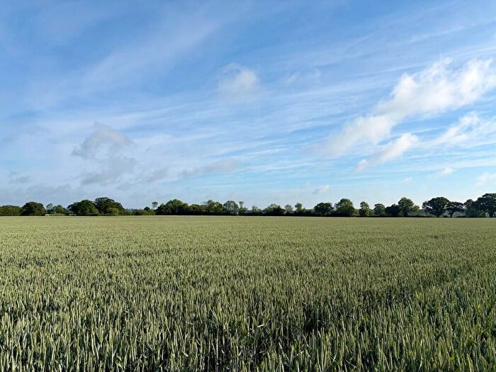 Farm Land For Sale In Arable Land At Wissett (Lot ), Lodge Lane, Wissett, Halesworth, Suffolk, IP19