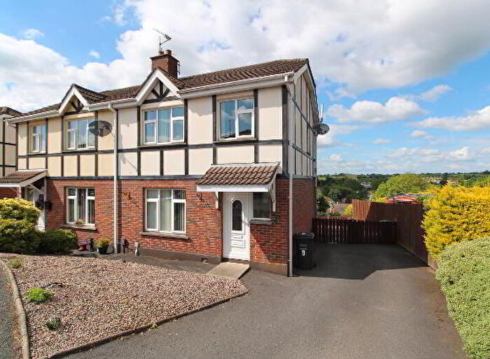 3 Bedroom Detached House For Sale In Denfort Lodge, Dromore, BT25