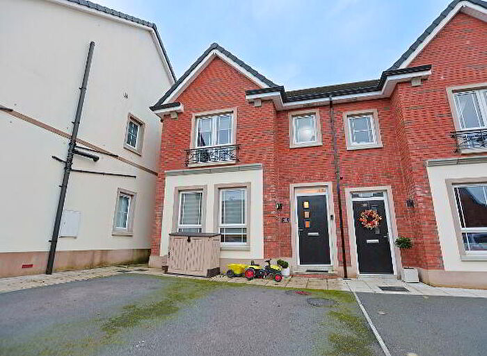 3 Bedroom Semi-Detached House For Sale In Carnreagh Park, Craigavon, BT64