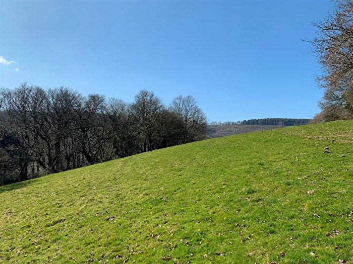 Land For Sale In Tavistock, PL19