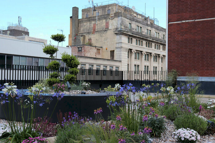 2 Bedroom Apartment To Rent In Roco, James Street, L2