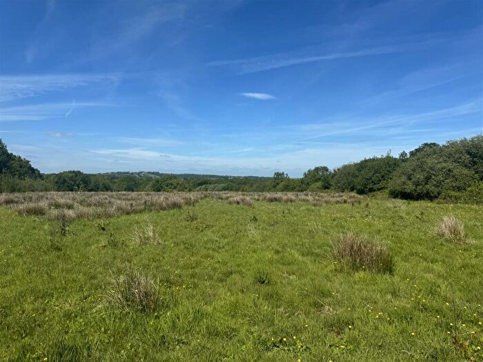 Land For Sale In Northlew, EX20