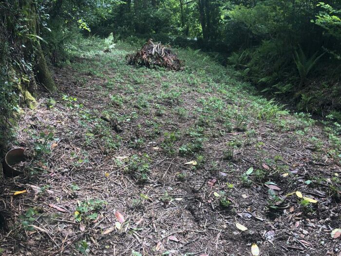 Land For Sale In Little Polgooth, St Austell, PL26