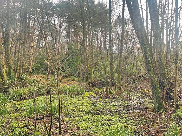 Land For Sale In Land North Of Culmer Lane, Wormley, Godalming, GU8