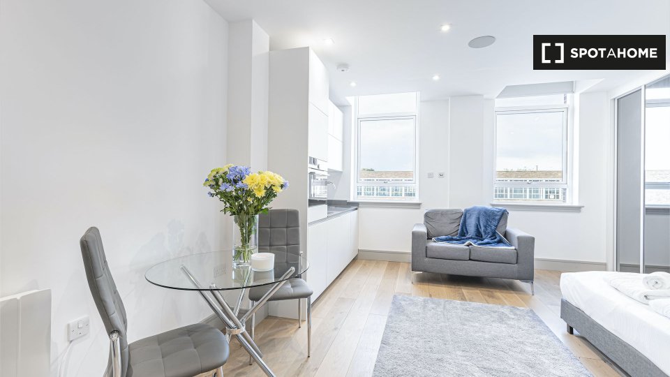 Studio To Rent In Lawrence Rd, N15