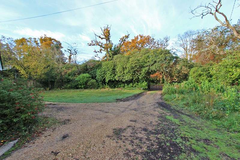 3 Bedroom Bungalow For Sale In Sway Road, Brockenhurst, Hampshire, SO42