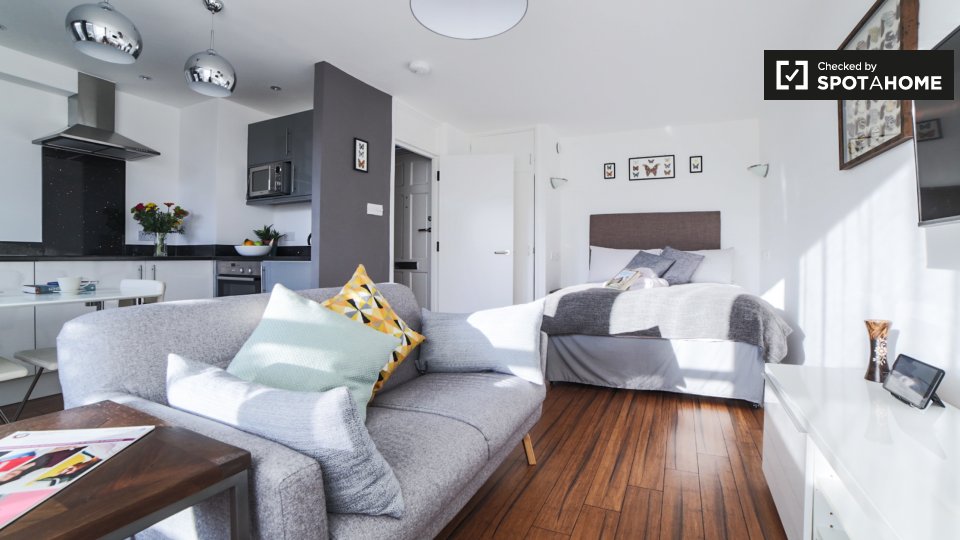 Studio To Rent In Apartment, SW1V
