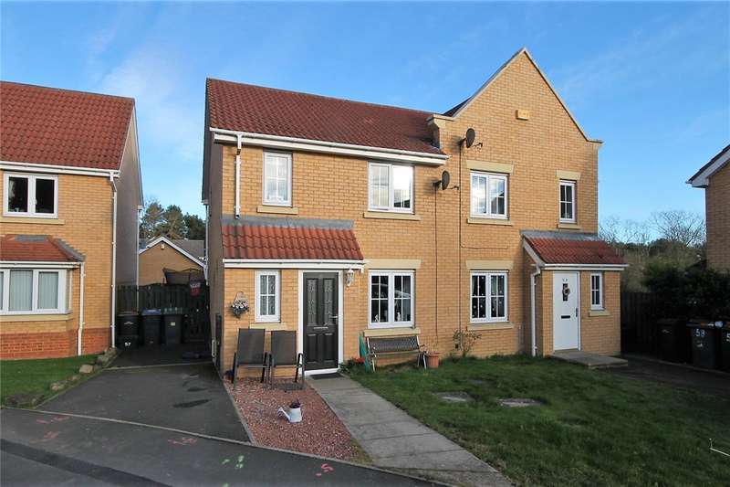 3 Bedroom SemiDetached House For Sale In Chapel Drive, Delves Lane