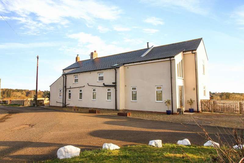 4 Bedroom SemiDetached House To Rent In Stannington, Morpeth, NE61