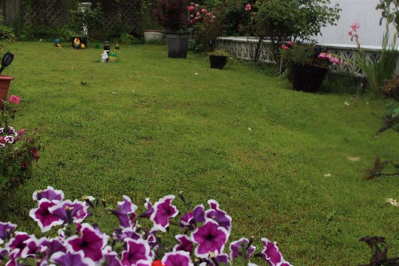 1 Bedroom Park Home Mobile Home For Sale In Birch Grove, Woodland Park