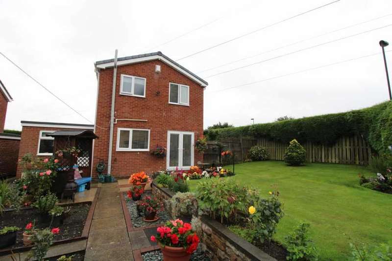 3 Bedroom Detached House For Sale In Lotus Close, Chapel Park