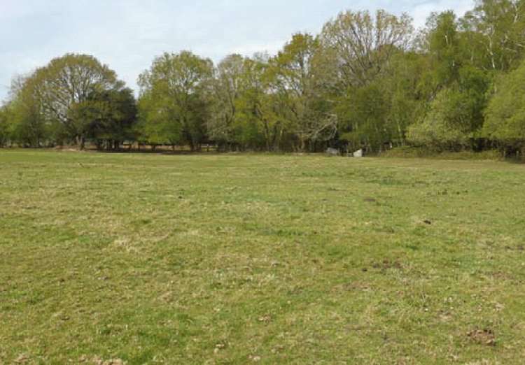 Commercial Land For Sale In Land At, Newton Lane, Whiteparish, Salisbury, Wiltshire, SP5