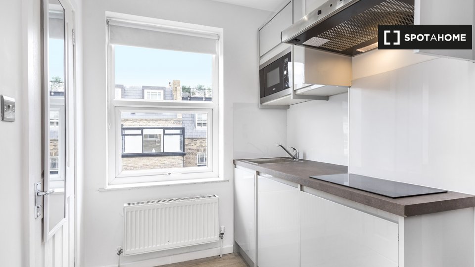 Studio To Rent In Flat, W2