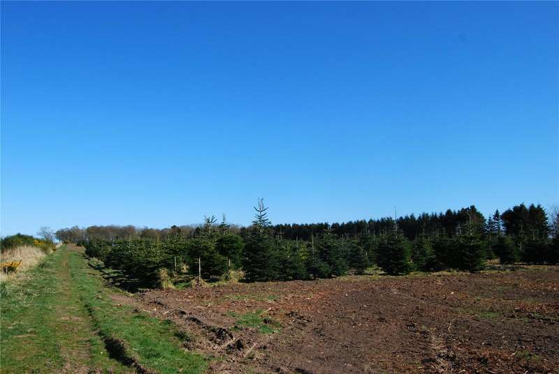 Land For Sale In Tealing, Dundee, DD4