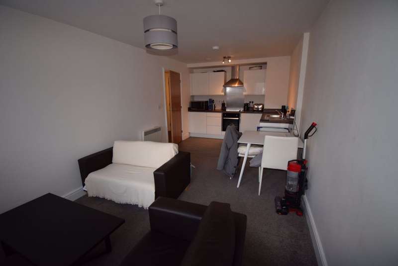 1 Bedroom Apartment To Rent In Available July 1st 2022, DE1