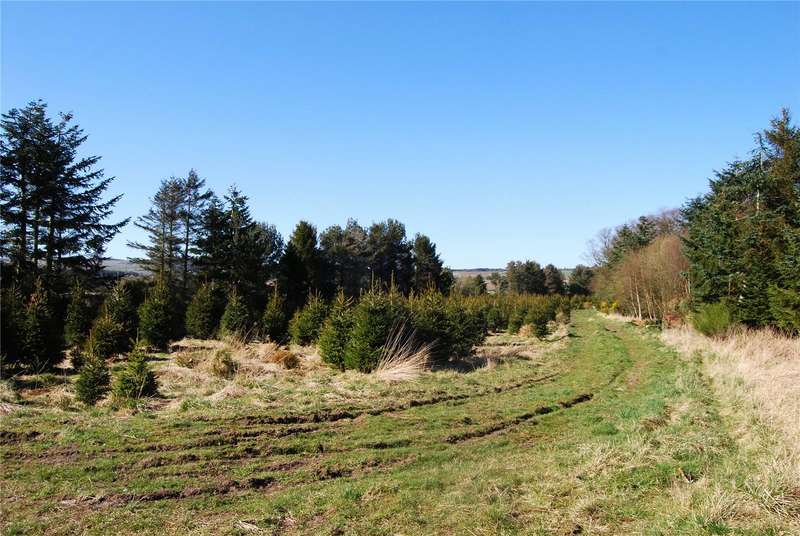 Land For Sale In Tealing, Dundee, DD4