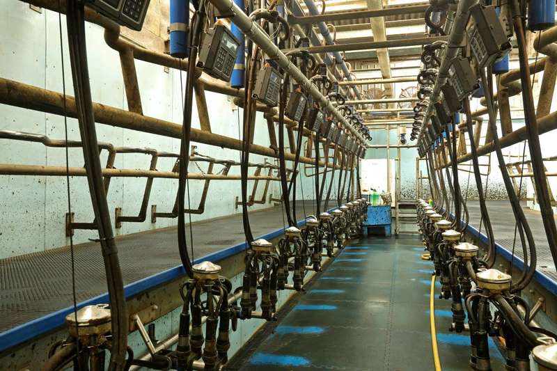 4 Bedroom Farm For Sale In Jacobstow, Bude, Cornwall, EX23