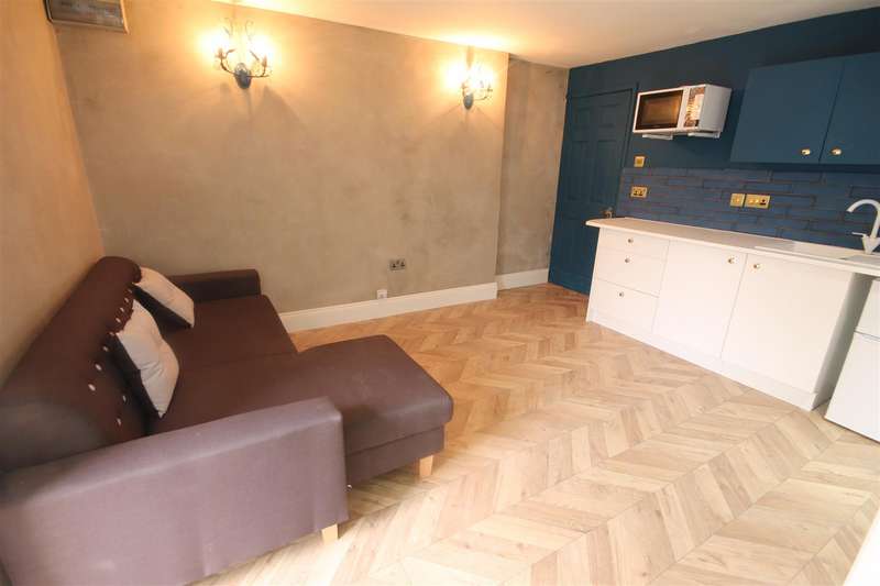 1 Bedroom Studio Flat To Rent In 194 A Westgate Road, City Centre, NE4