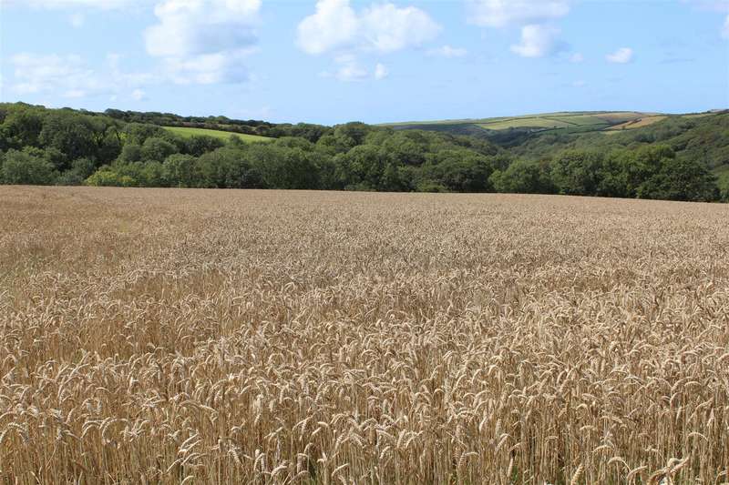 Commercial Land For Sale In Welcombe, Bideford, EX39